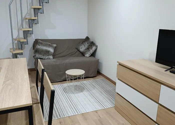 Studio Duplex Au Coeur De Dijon